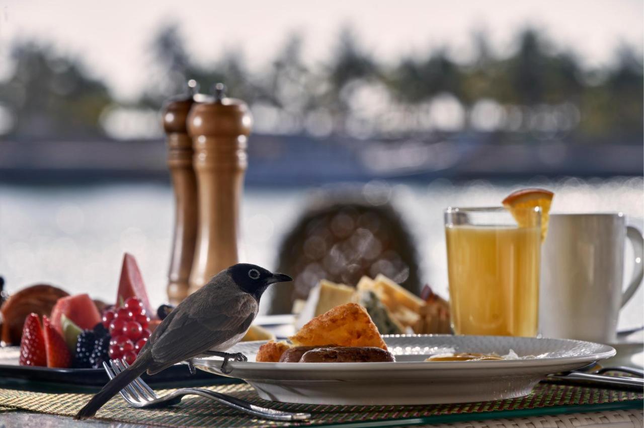 Fanar Hotel & Residences Salalah Extérieur photo A bird at a breakfast table